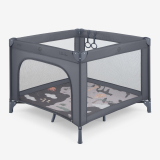 Enjoy 2026 Africa Grey