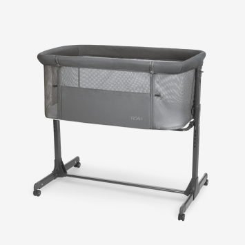 Noah Dark Grey 2025